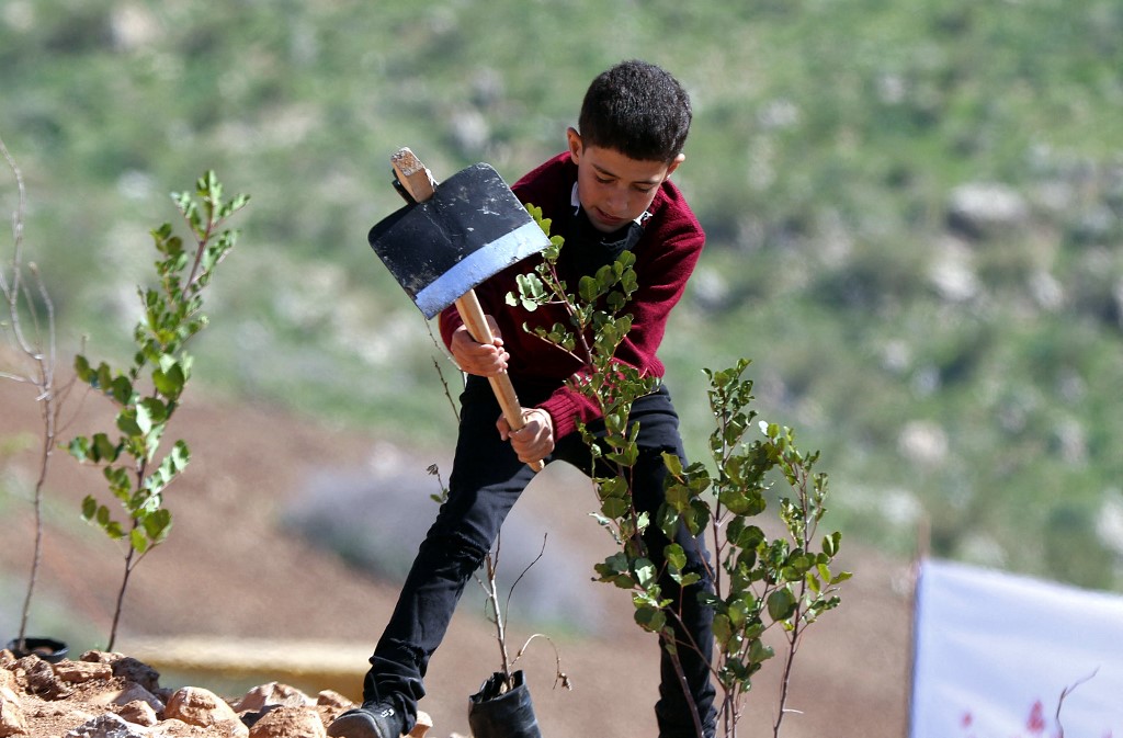 Jordania, un país desértico, quiere plantar bosques