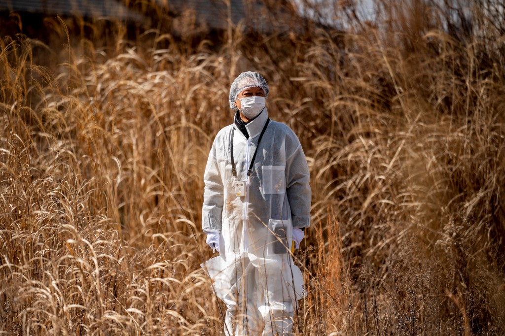 Diez años después de Fukushima, «ningún efecto nocivo para la salud» (ONU)