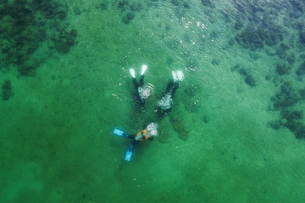 En Hong Kong, la impresión 3D acude al rescate de los corales