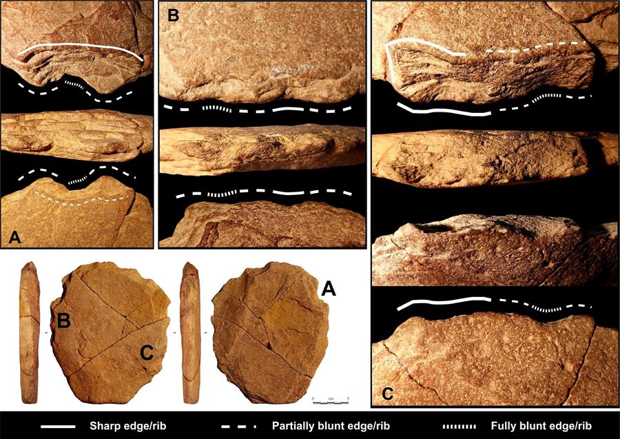 Hallan indicio de que los humanos vivían en América del Sur hace 24.000 años