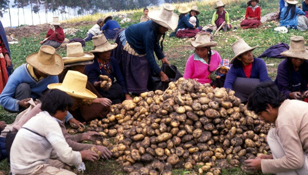 Impactante desperdicio de alimentos en Perú