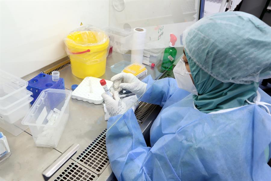 Anticuerpos de variante sudafricana de coronavirus ofrecen protección cruzada