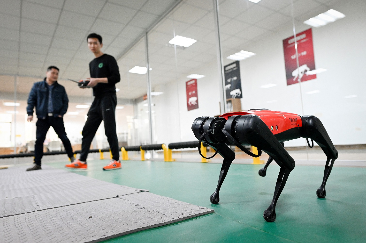 Los perros-robot, el último grito tecnológico en China