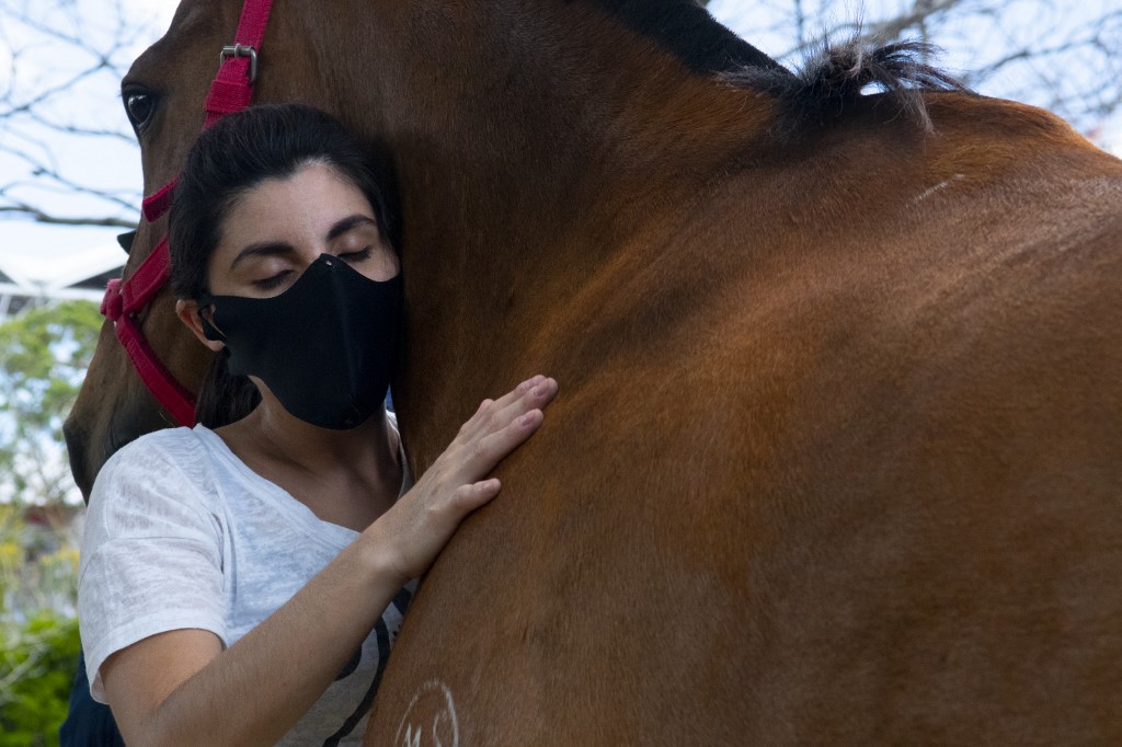 Equinoterapia, la técnica capaz de curar dolores y tratar la depresión