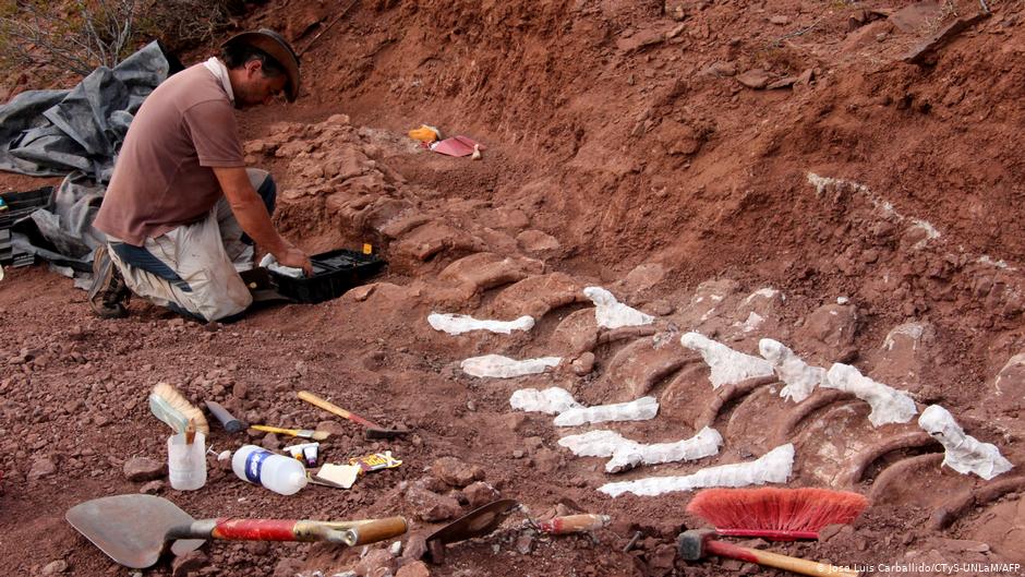 En la Patagonia, descubren al dinosaurio más grande que ha pisado el planeta