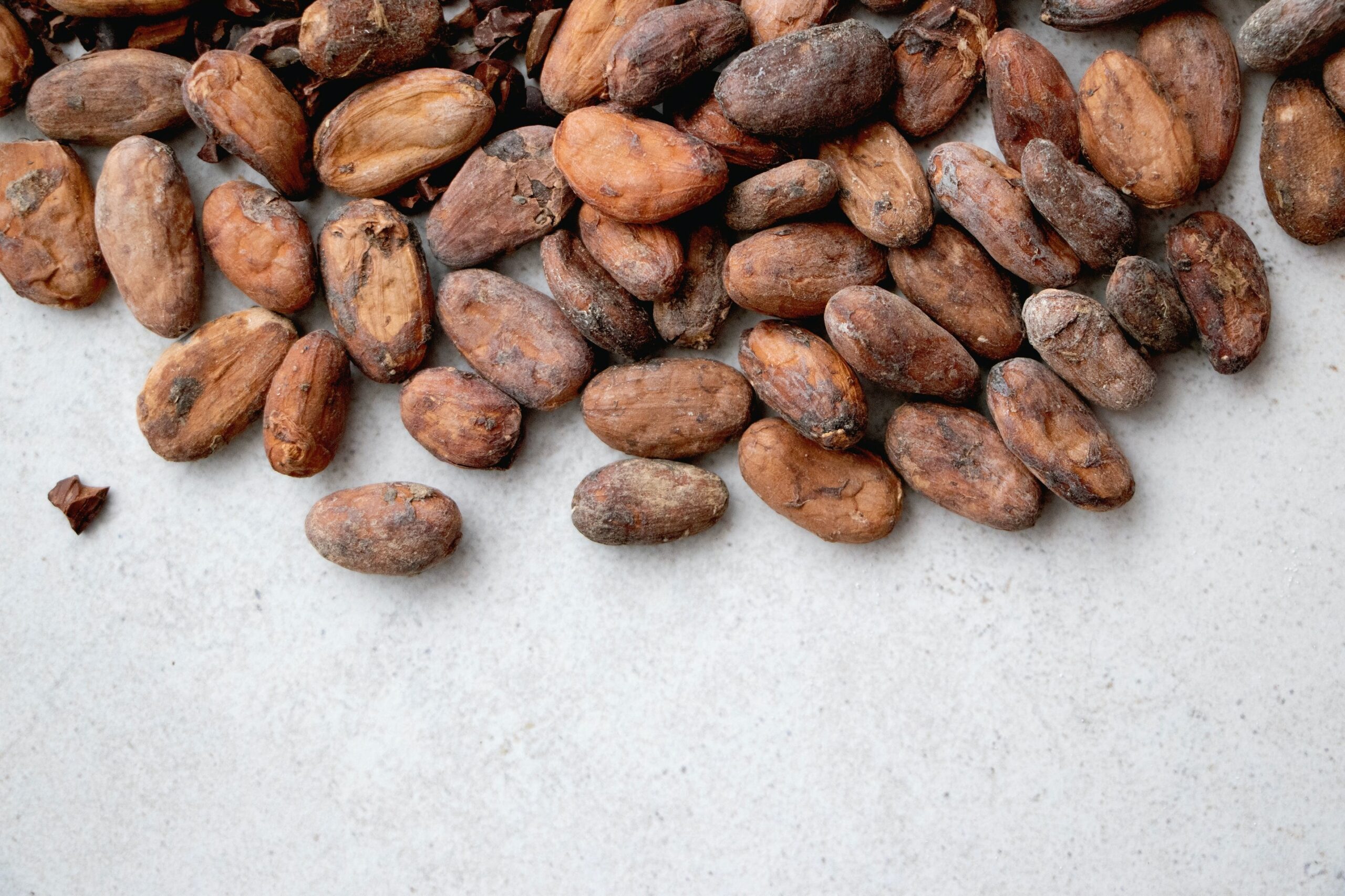 Cacao, el cultivo más emblemático de México