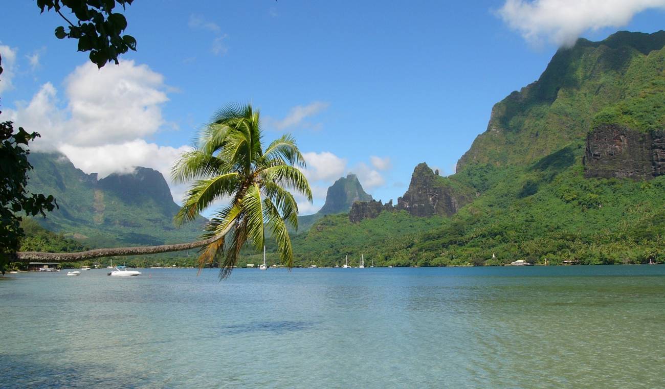 La huella humana provoca más cambios en la vegetación de las islas que el clima