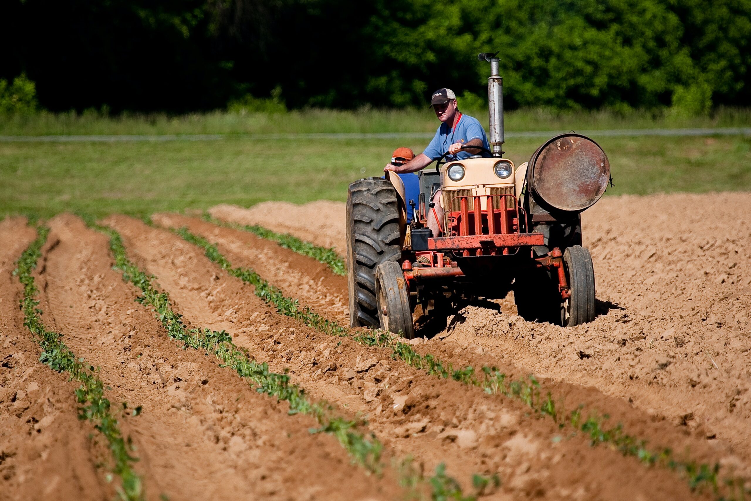 El IICA promoverá políticas agropecuarias basadas en ciencia en América