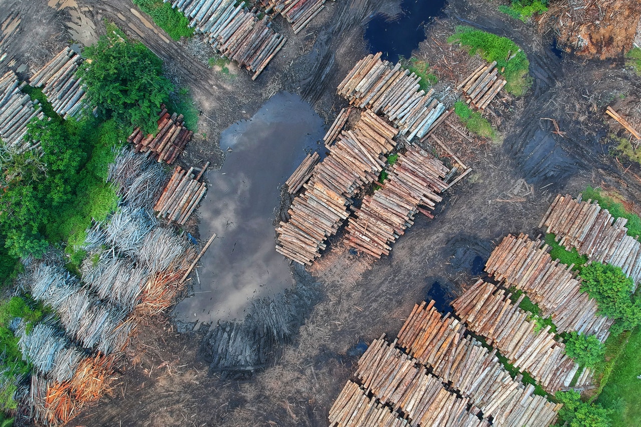 Deforestación en la Amazonía brasileña rompe récord en marzo