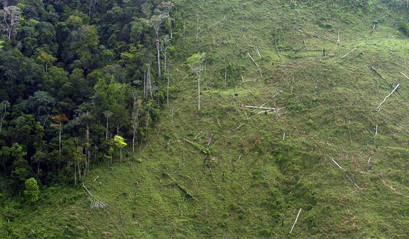 Indígenas denuncian graves daños ambientales en biosfera de Honduras