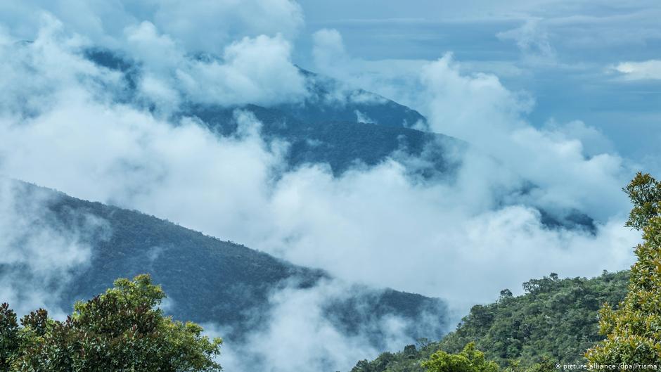 Áreas naturales protegidas en América Latina, cuando la cantidad riñe con la calidad