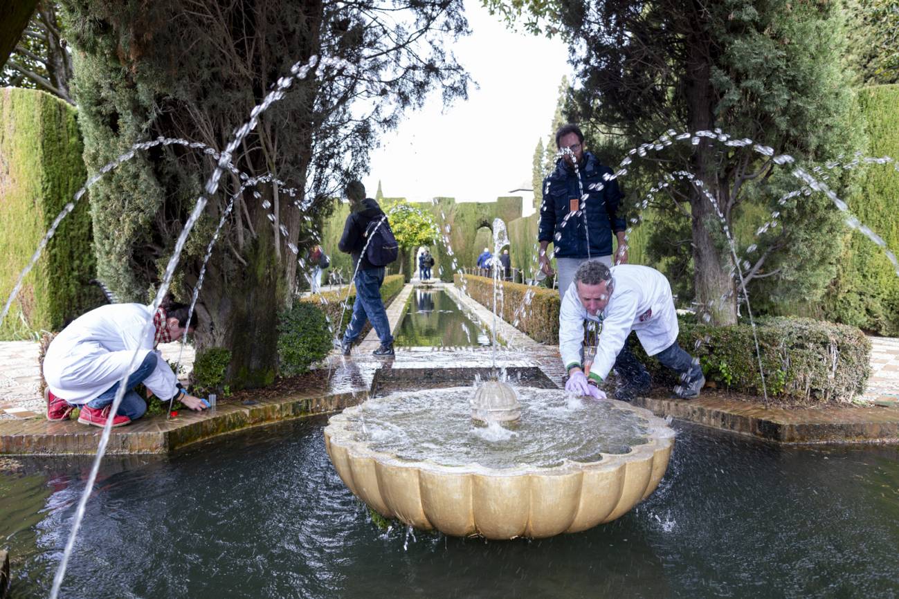 Identifican variedad de microalgas que habita las fuentes de la Alhambra y el Generalife