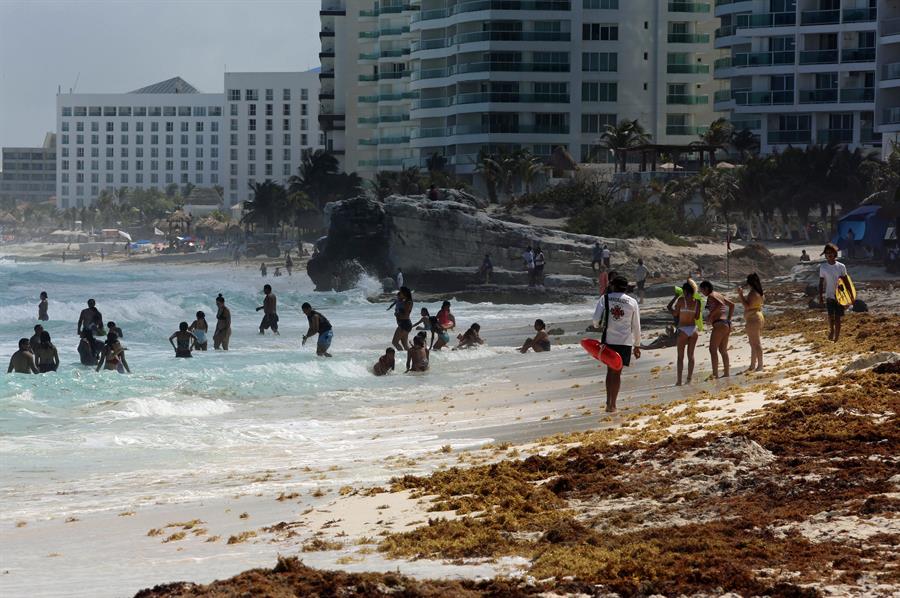 El sargazo se cuadriplica y amenaza con inundar al Caribe mexicano