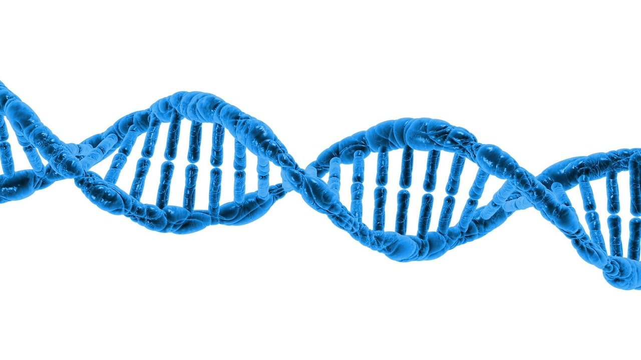 Con un estudio de ADN puedes conocer tu predisposición a enfermedades