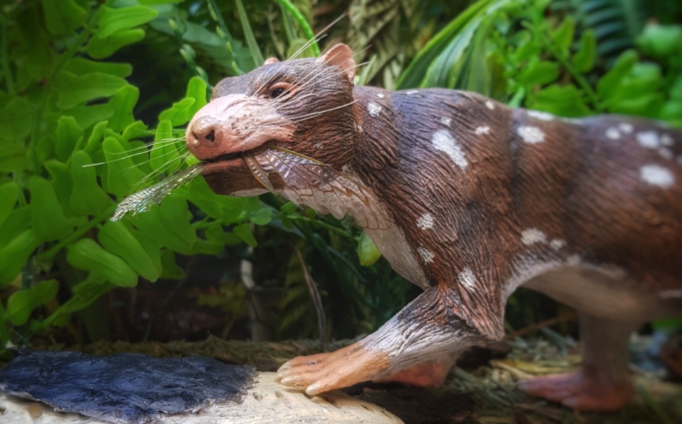 En la Patagonia chilena descubren restos de nueva especie de mamífero