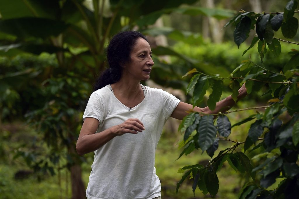 Las mujeres de Galápagos son esenciales, pero no reconocidas por su trabajo