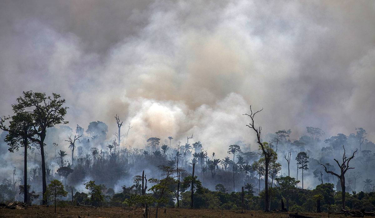 Brasil asegura que habrá neutralidad climática para 2050