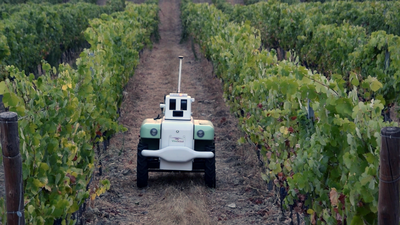 La UPV desarrolla robot para mejorar la plantación de viñedos