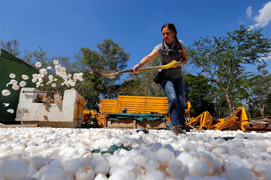 Limpian uno de los ríos más contaminados de México con cascarones de huevo