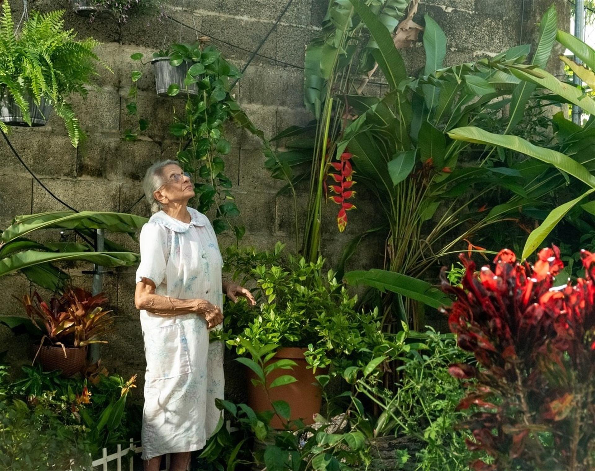 «Perfume de Gardenias», comedia inspirada en funerales de Puerto Rico