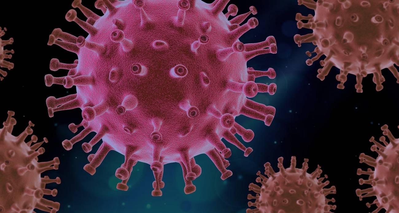 Identifican moléculas que frenan la entrada del coronavirus en las células