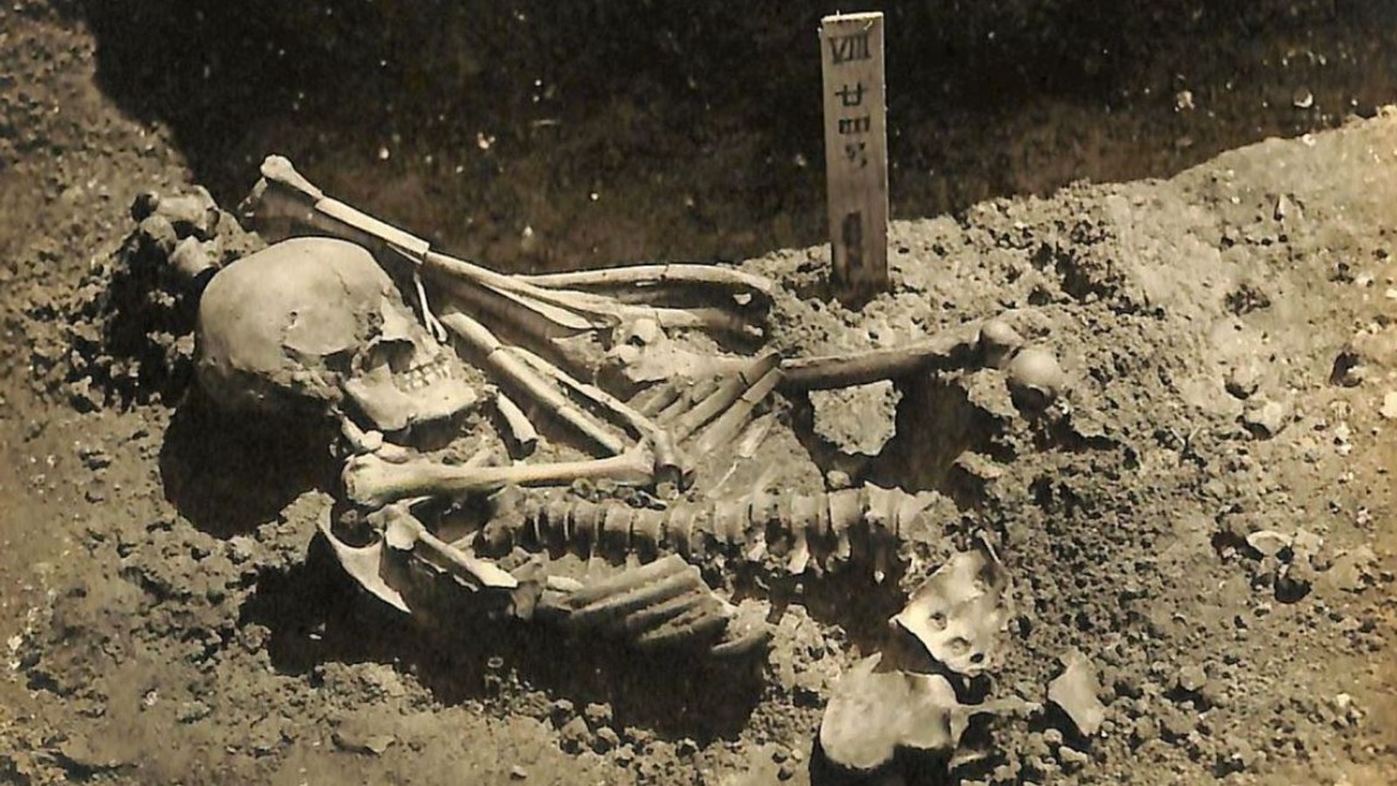 Un hombre muerto hace 3.000 años, la primera víctima conocida de un tiburón