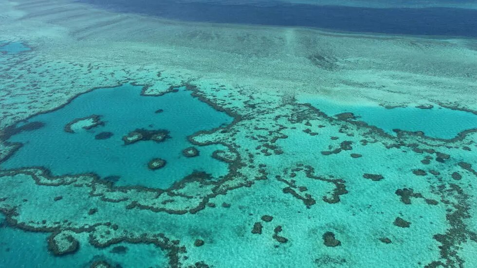 Australia se opondrá a incluir la Gran Barrera de Coral como patrimonio en peligro