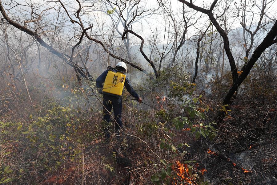 Bolivia presenta un plan para evitar incendios forestales en áreas sensibles