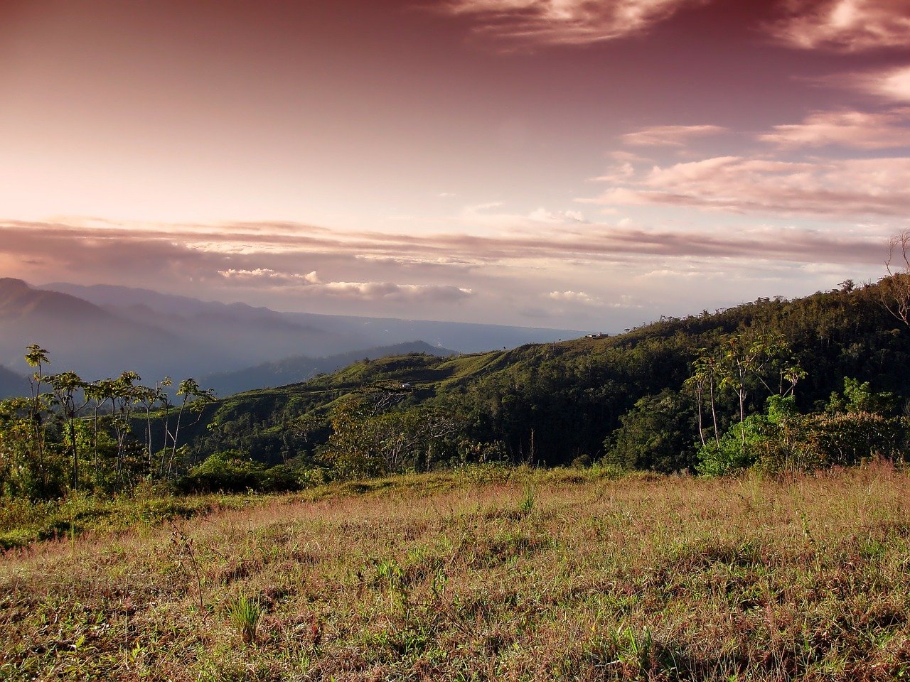 Costa Rica reunirá a líderes mundiales para impulsar restauración de tierras