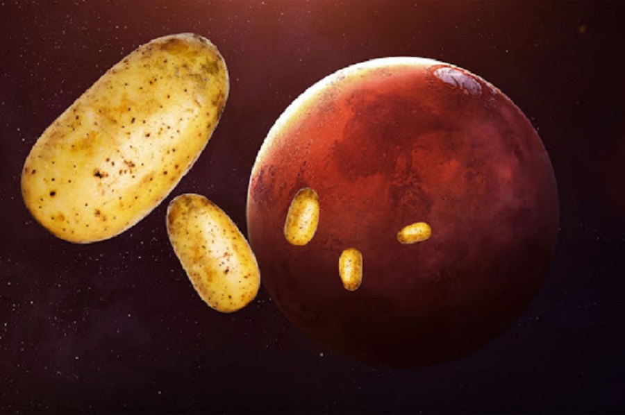 Lanzan “La Patata Marciana”, el primer y único concurso de cocina espacial