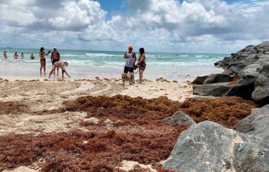 Florida emite alerta por el alto nivel de algas tóxicas en su lago más grande