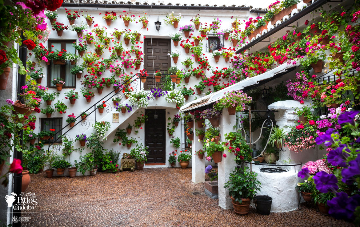 En Córdoba celebran la Fiesta de los Patios a pesar de la COVID-19