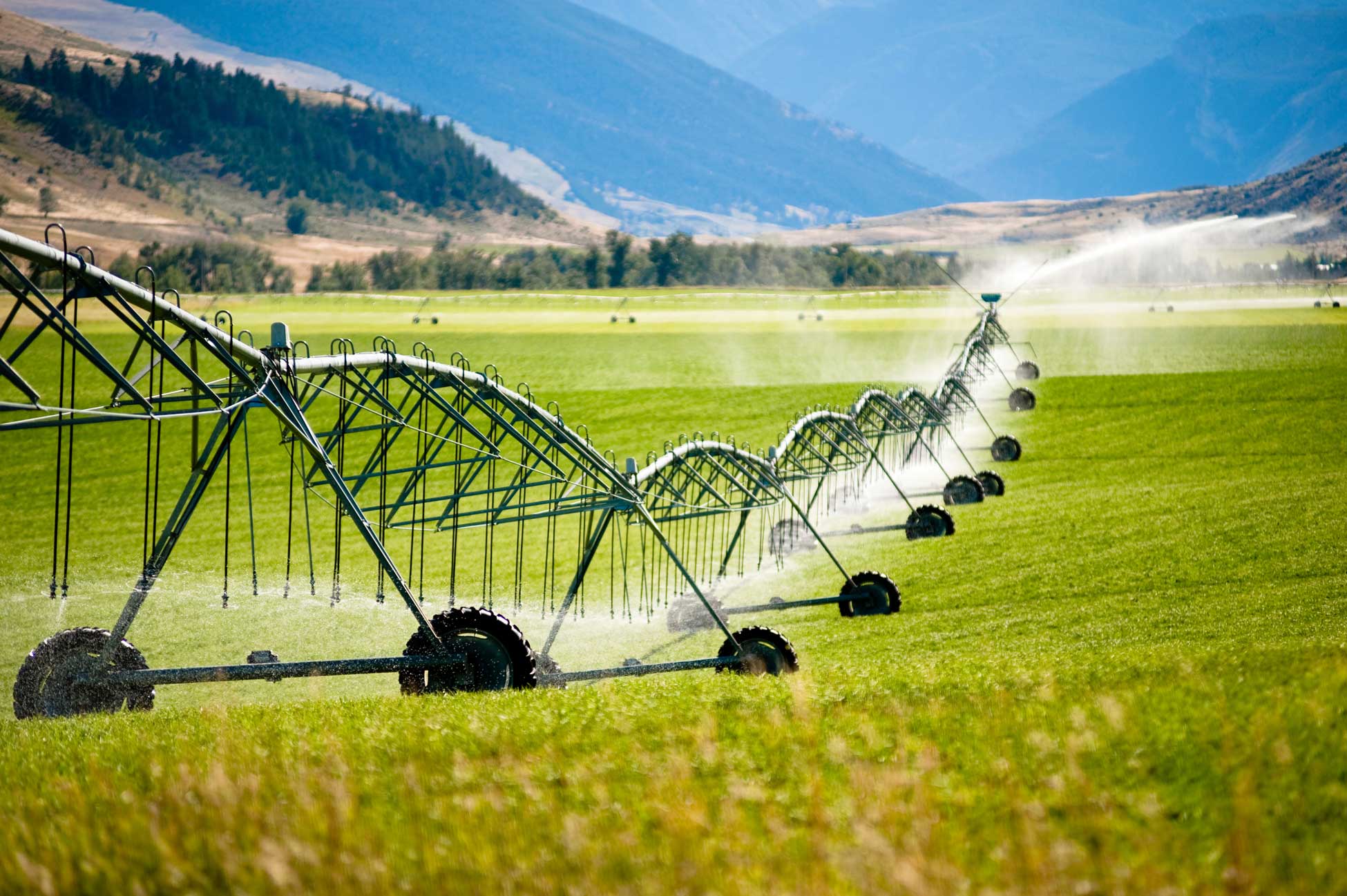 Disminuir la huella hídrica para garantizar el futuro del agua