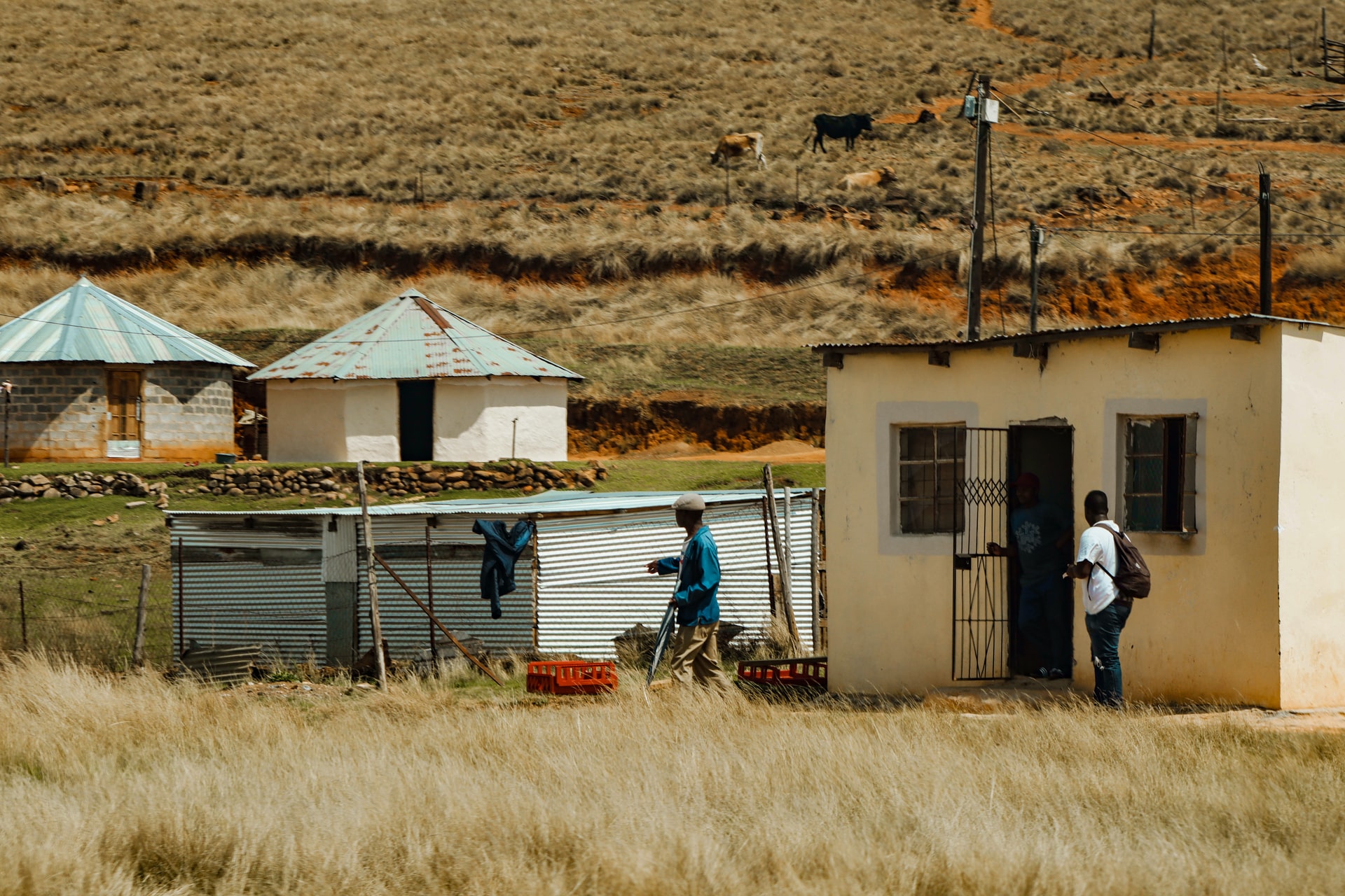 “RuralLife4Good”, proyecto de la UPV para potenciar entornos rurales