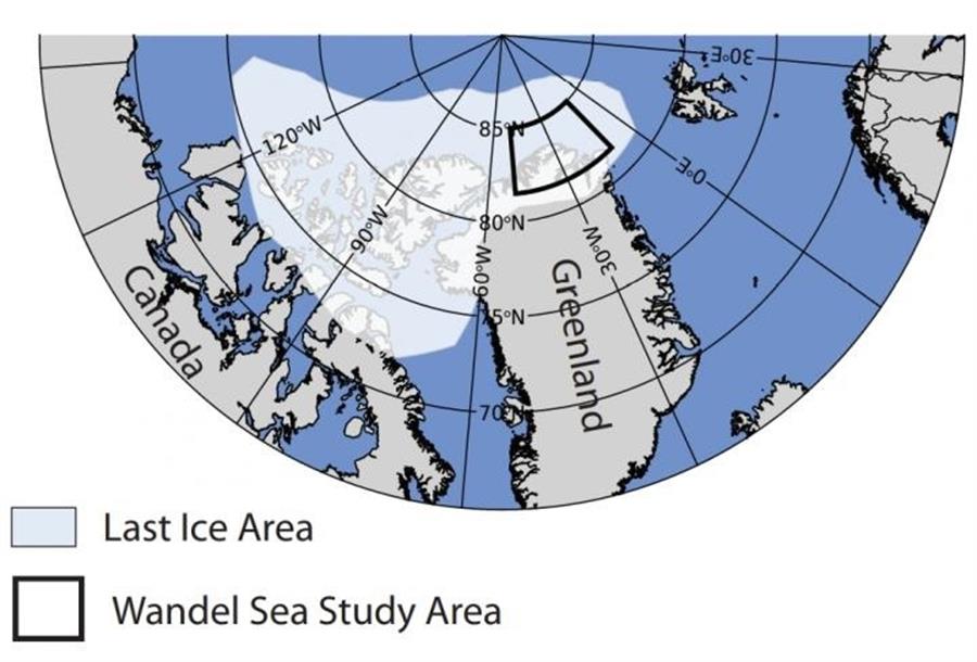 La última zona helada del Ártico mostró en 2020 una drástica pérdida de hielo