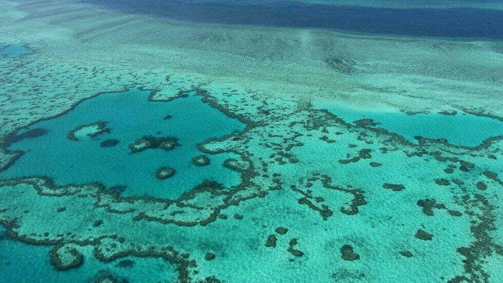 La Gran Barrera de Coral evita su inclusión en el patrimonio mundial de la Unesco «en peligro»