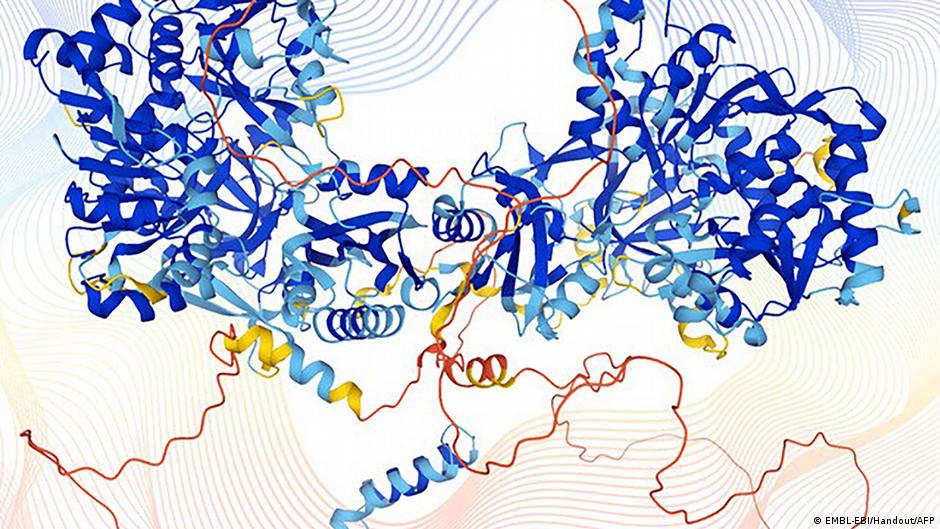 Inteligencia artificial predice la forma de las proteínas humanas