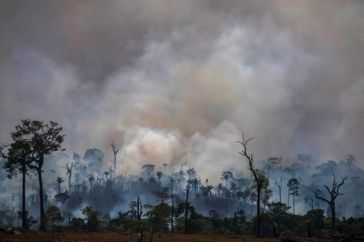 La deforestación en la Amazonía brasileña batió nuevo récord en junio