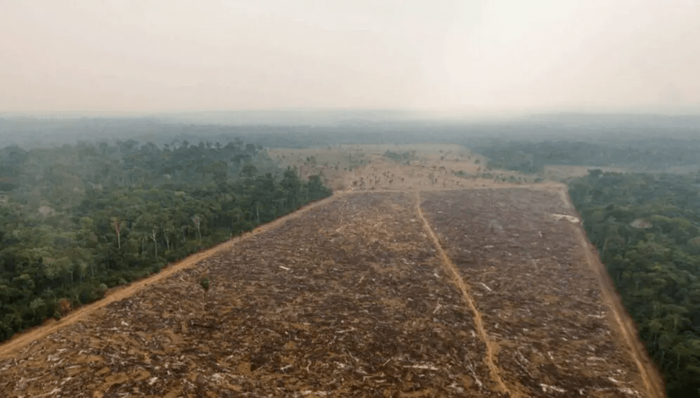 La Amazonia emitió más CO2 de lo que absorbió