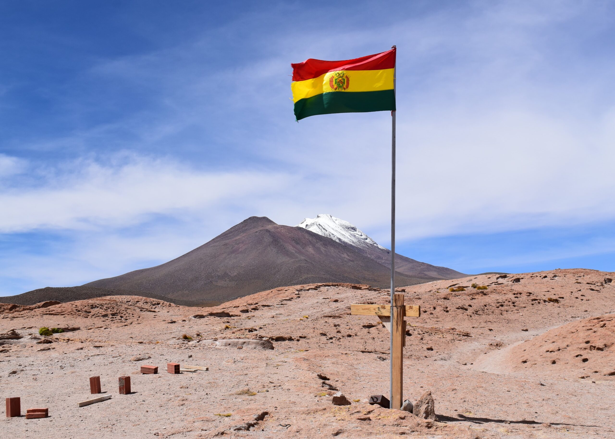 Expertos hallan una nueva especie de escarabajo en Bolivia