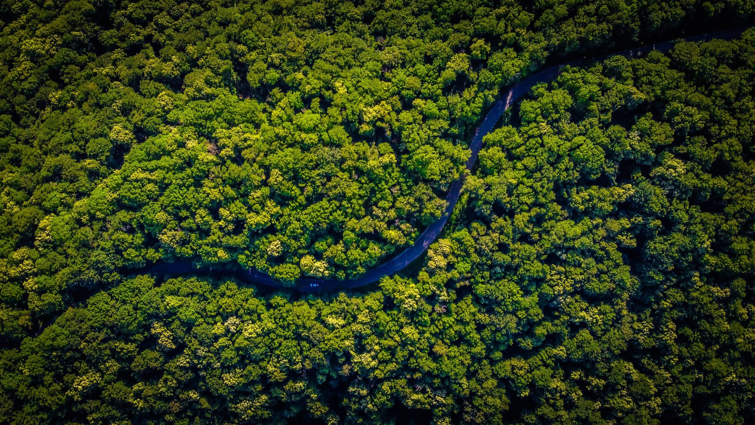 Datos satelitales ayudan a indígenas amazónicos en Perú a reducir la deforestación