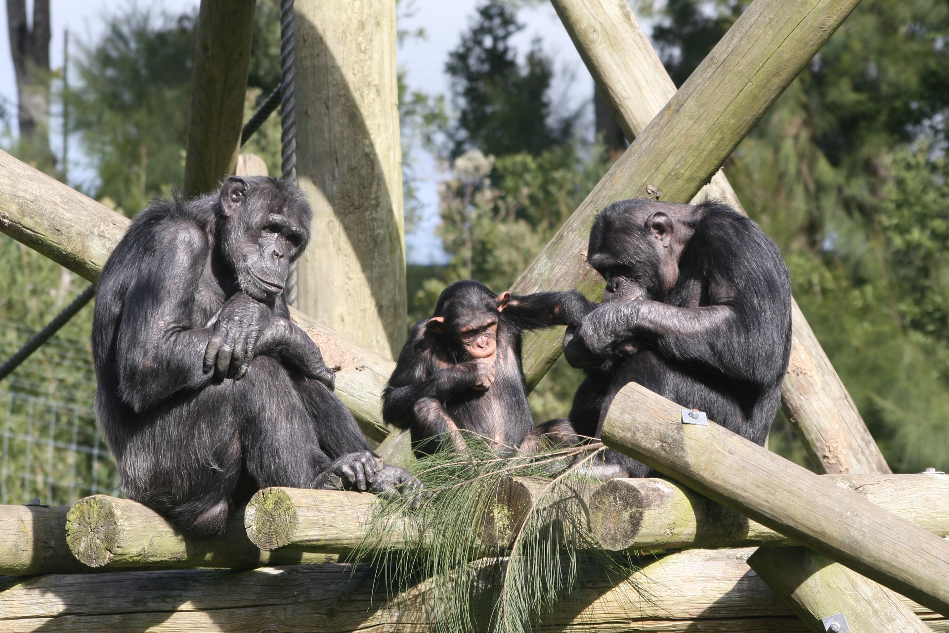 El Zoológico de Guadalajara protege a sus animales y al personal de la COVID-19