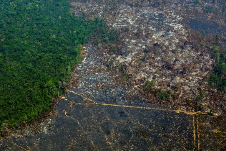 La deforestación en la Amazonía brasileña, cercana a su nivel récord