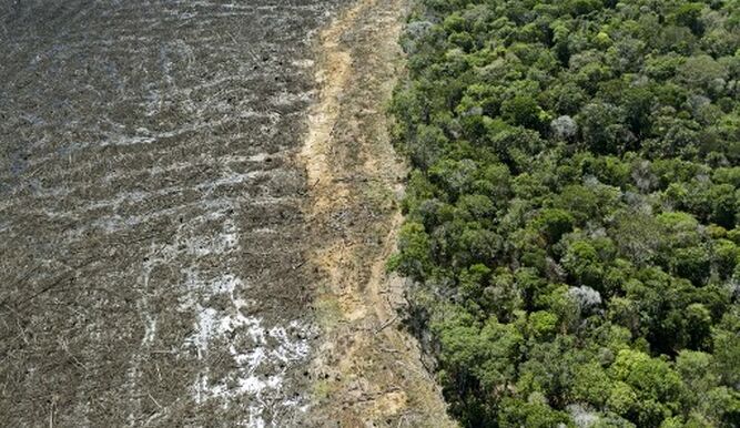 Brasil admite que no cumplirá meta de reducir 10% la deforestación amazónica