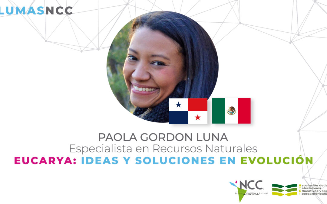 Plumas NCC | Evidencia del Cambio Climático