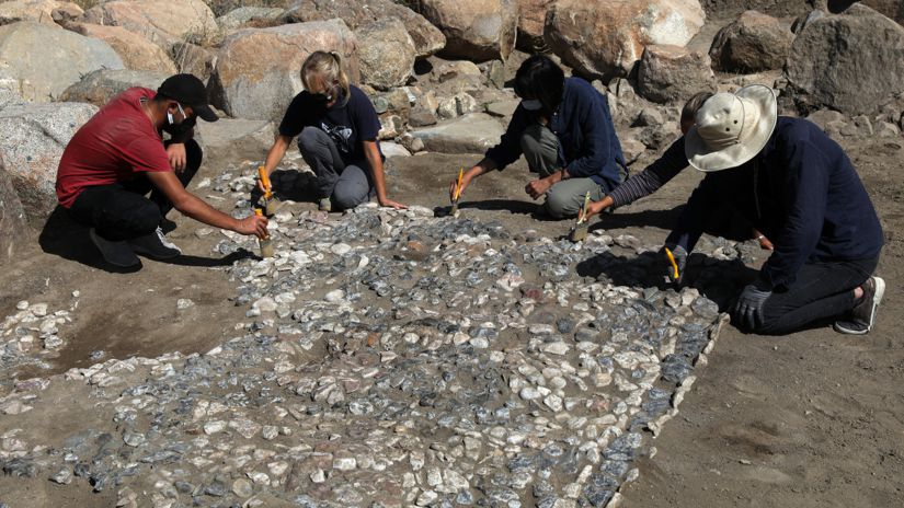 Hallan en Turquía «el antepasado» de los mosaicos mediterráneos