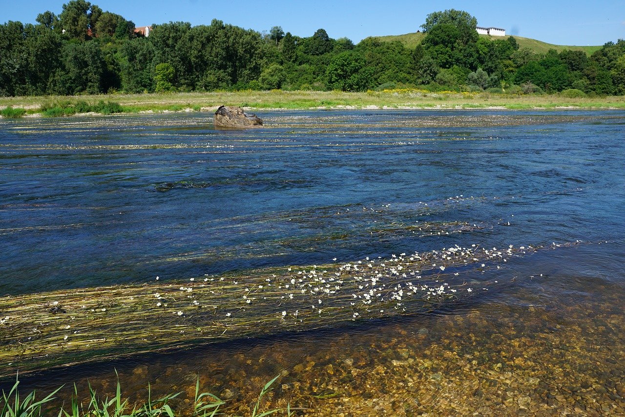 Las llanuras aluviales podrían rescatar al Danubio del cambio climático