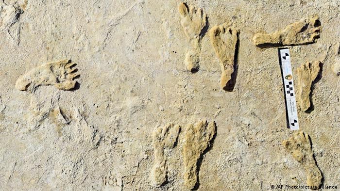 Antiguas huellas de 23.000 años indican la fecha de llegada de humanos a América