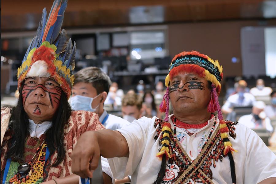 El Congreso de la UICN aprueba proteger el 80 % de la Amazonía para 2025