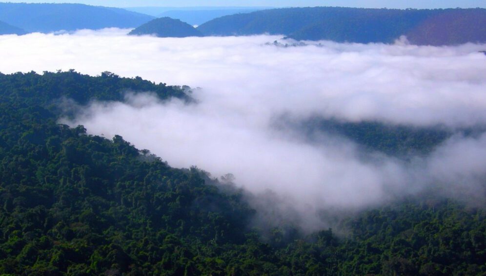 Amazonía: La ciencia puede ayudar a frenar deterioro, pero no sola